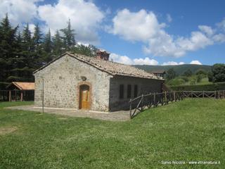fugio Trearie-11-06-2016 11-45-44